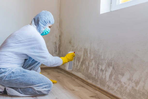 Crawl Space Mold Removal in Schoolcraft, MI