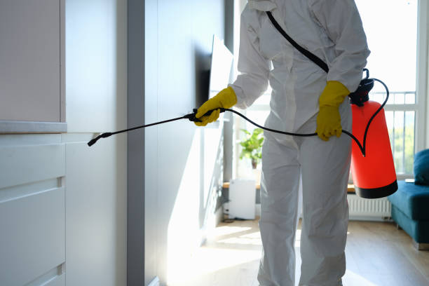 Best Commercial Mold Removal  in Schoolcraft, MI